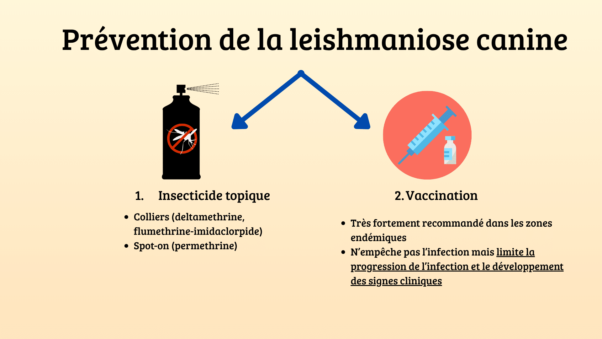 Leishmaniose prevention
